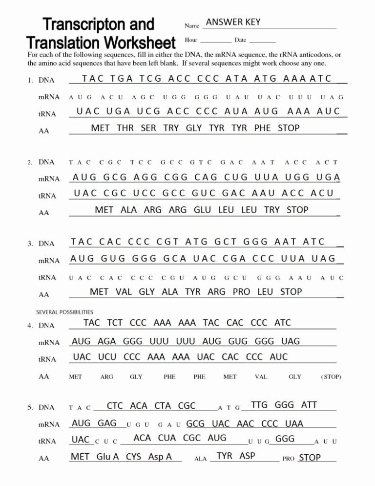 Protein Synthesis Transcription And Translation Worksheet Answers