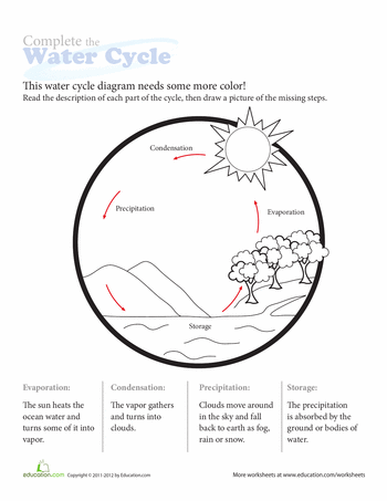 2nd Grade Water Cycle Worksheet For Kids