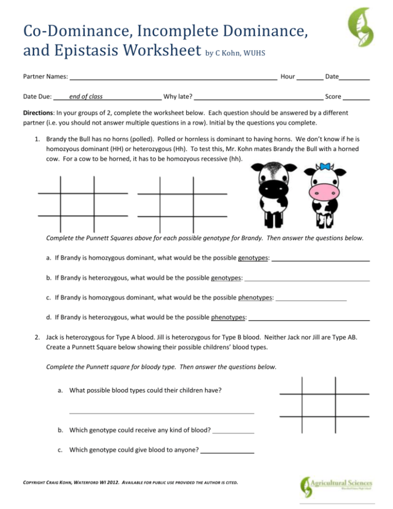 Codominance And Incomplete Dominance Worksheet