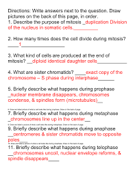 Mitosis Worksheet 2 Answer Key