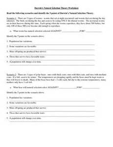 Natural Selection Worksheet Answers