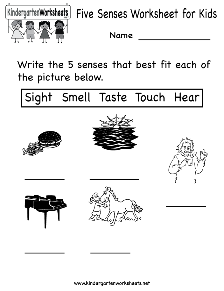 Science Worksheets For Kids