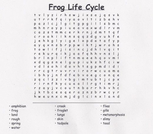 Life Cycle Of A Frog Worksheet Ks1