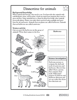 Free Printable 3rd Grade Science Worksheets