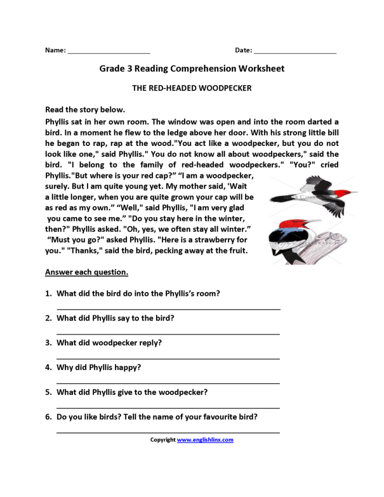 Reading Comprehension Activities For Third Grade