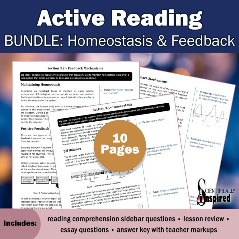 Homeostasis Worksheet Pdf