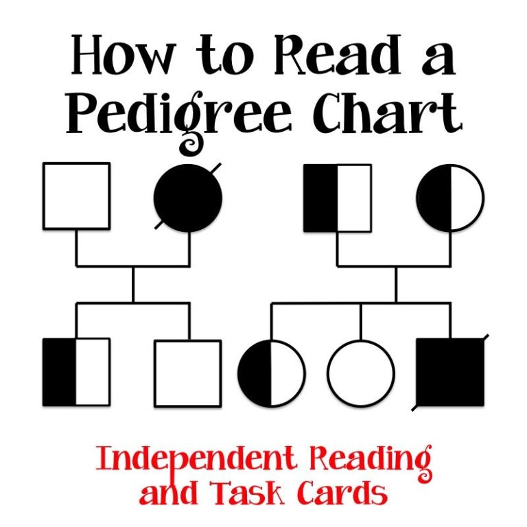 Answer Key Pedigree Analysis Worksheet Answers