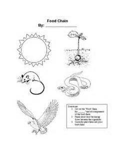 Food Webs And Food Chains Worksheet Back