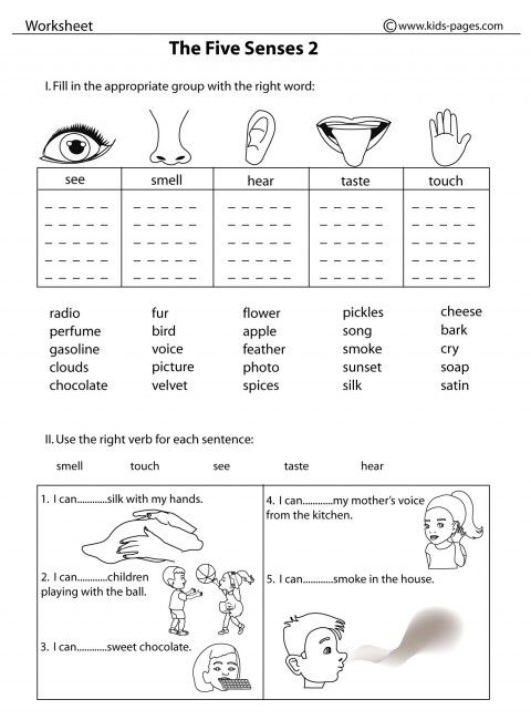 Senses Worksheets For Grade 3