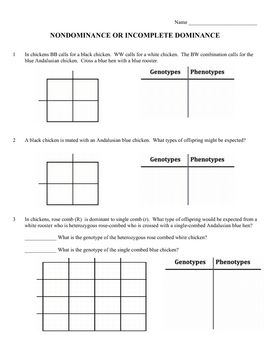 Incomplete Dominance Worksheet Answer Key