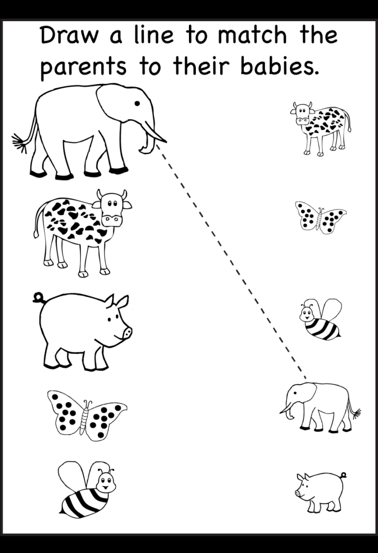 Matching Worksheets For Kindergarten