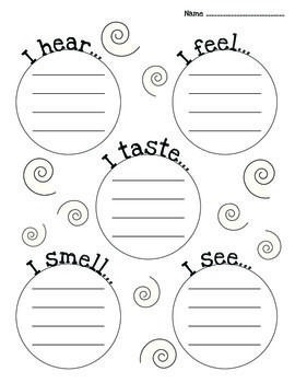 Five Senses Worksheets For 3rd Grade