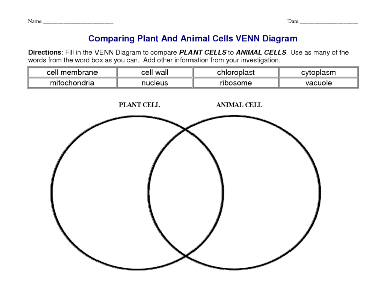 Comparison Worksheet Plant Cell Vs Animal Cell Venn Diagram