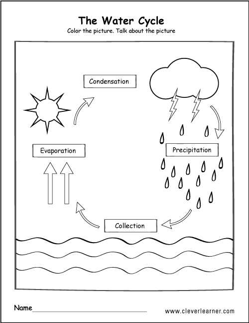 Water Cycle Diagram Worksheet