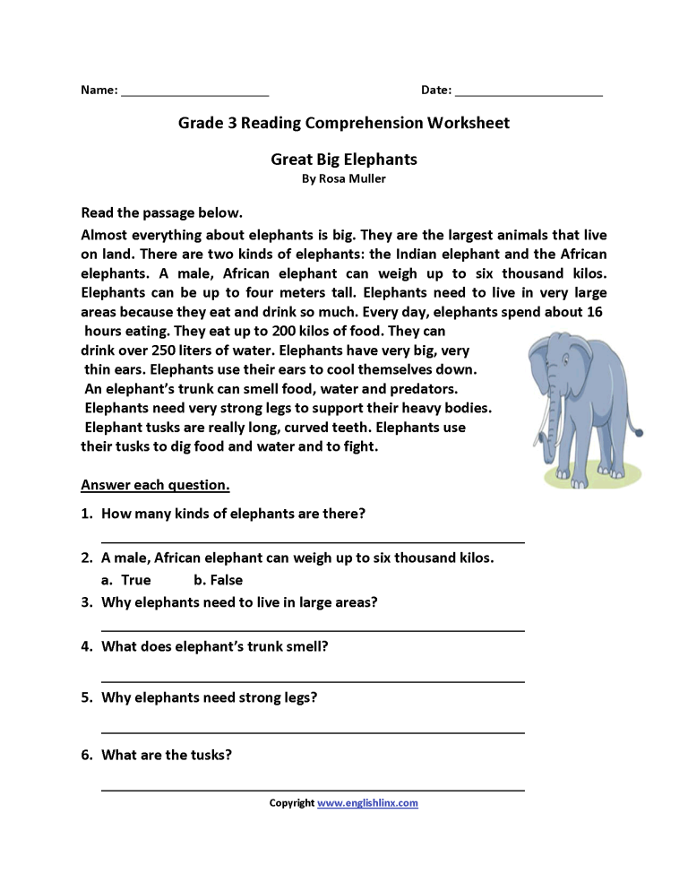 Third Grade Animals Worksheets For Grade 3