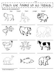 Animals Worksheet For Kids