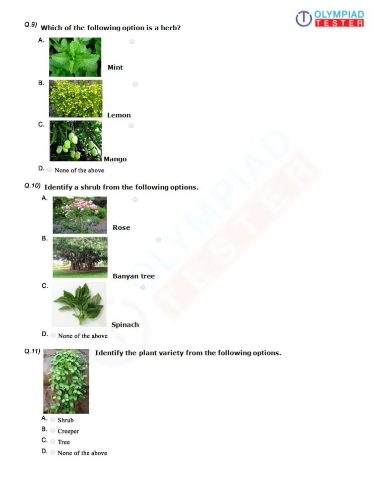 Worksheet For Class 1 Evs