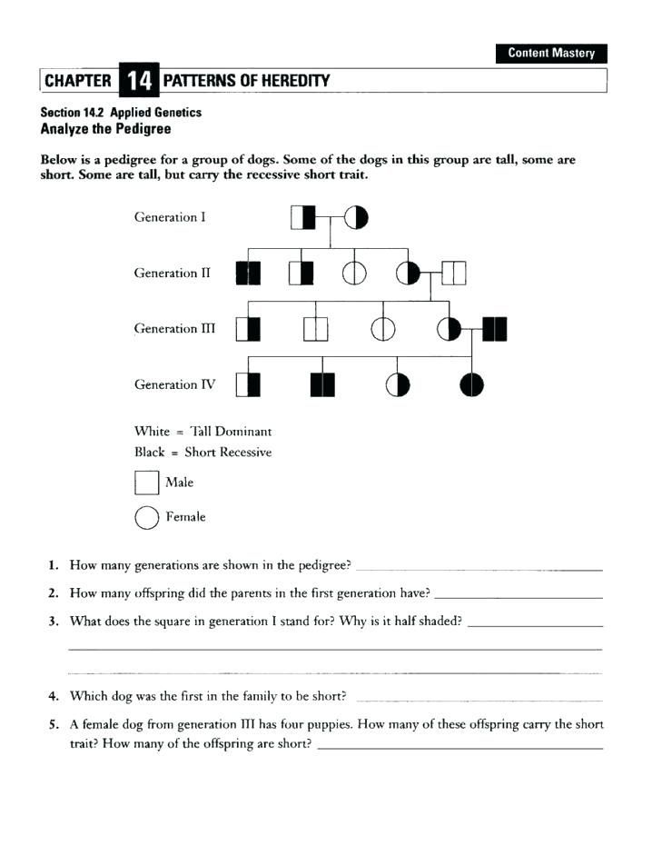 Pedigree Worksheet Answers