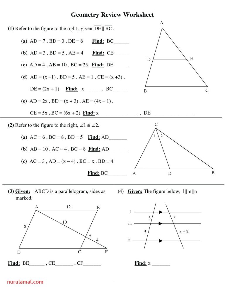 8th Grade Geometry Worksheets