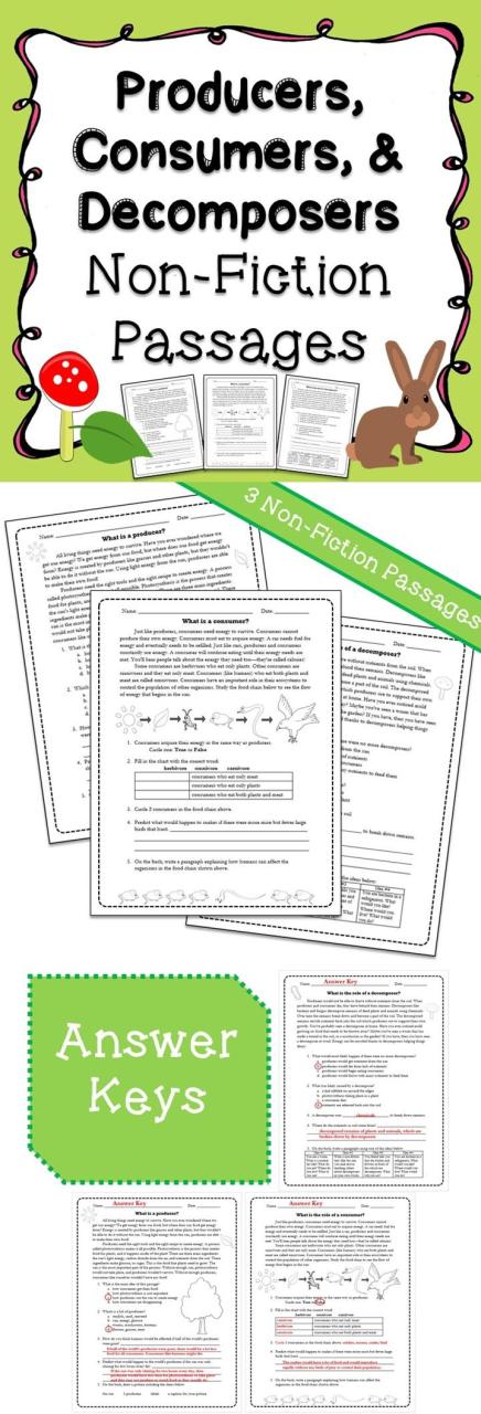 Ecological Pyramids Worksheet Answers Biozone