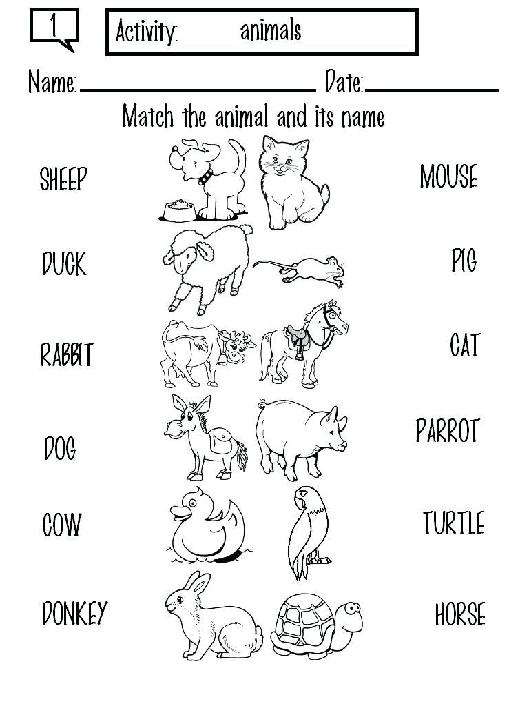 Animals Worksheets For Kindergarten Pdf