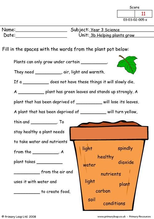 Year 3 Worksheets Science