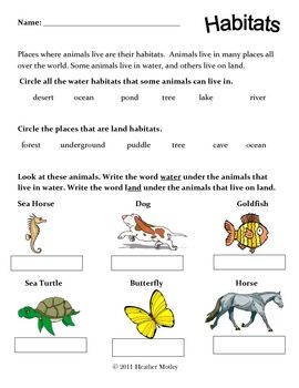 Plants And Animals Worksheets For Grade 3