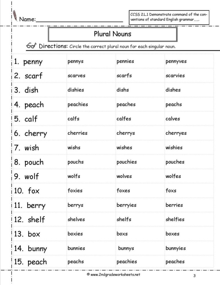 Plurals Worksheets Grade 3