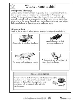 Animal Adaptations Worksheets Pdf