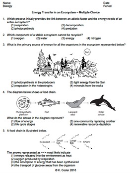 Ecological Succession Worksheet Key