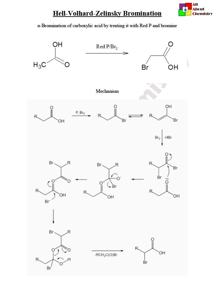 Naming Branched Alkanes Worksheet