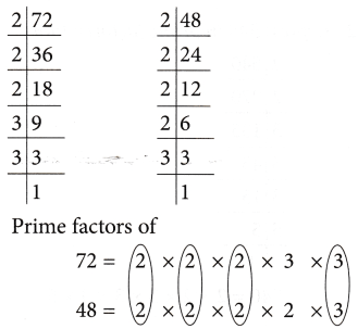 5th Grade Prime Factorization Division Method Worksheets