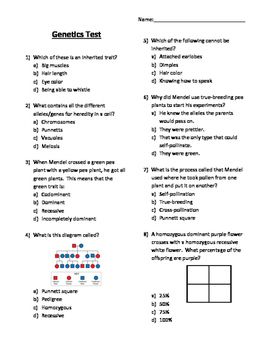 Pedigree Worksheet Answers Pdf