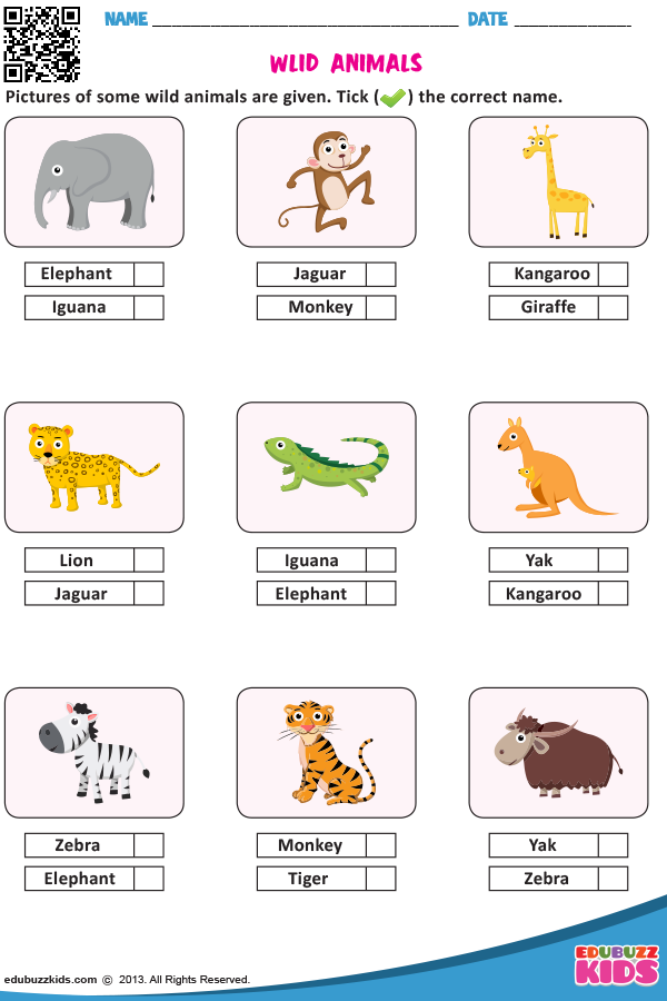 Animals Name Worksheet For Kids