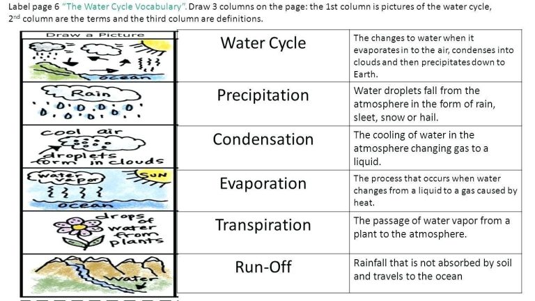 Water Cycle Worksheet Pdf Free