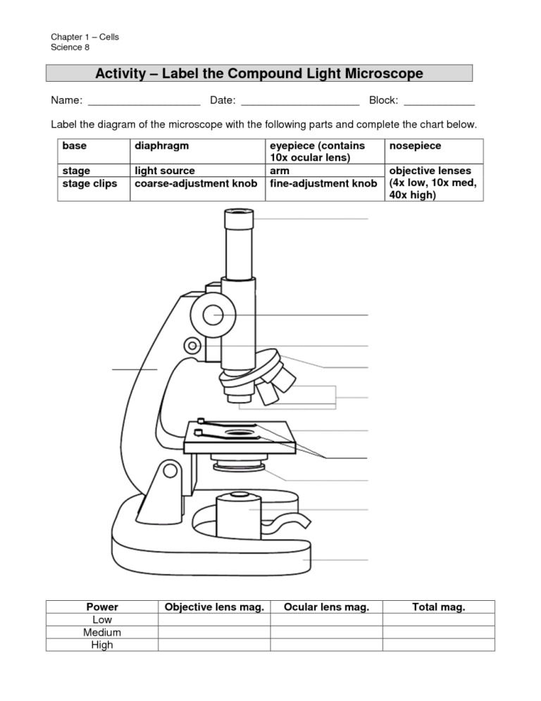 Microscope Worksheet