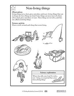 2nd Grade Free Science Worksheets