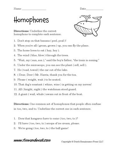 Grade 3 3rd Grade Homophones Worksheet