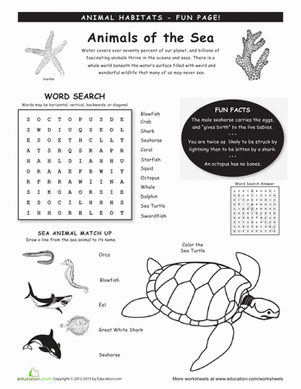 Animals Worksheet 3rd Grade