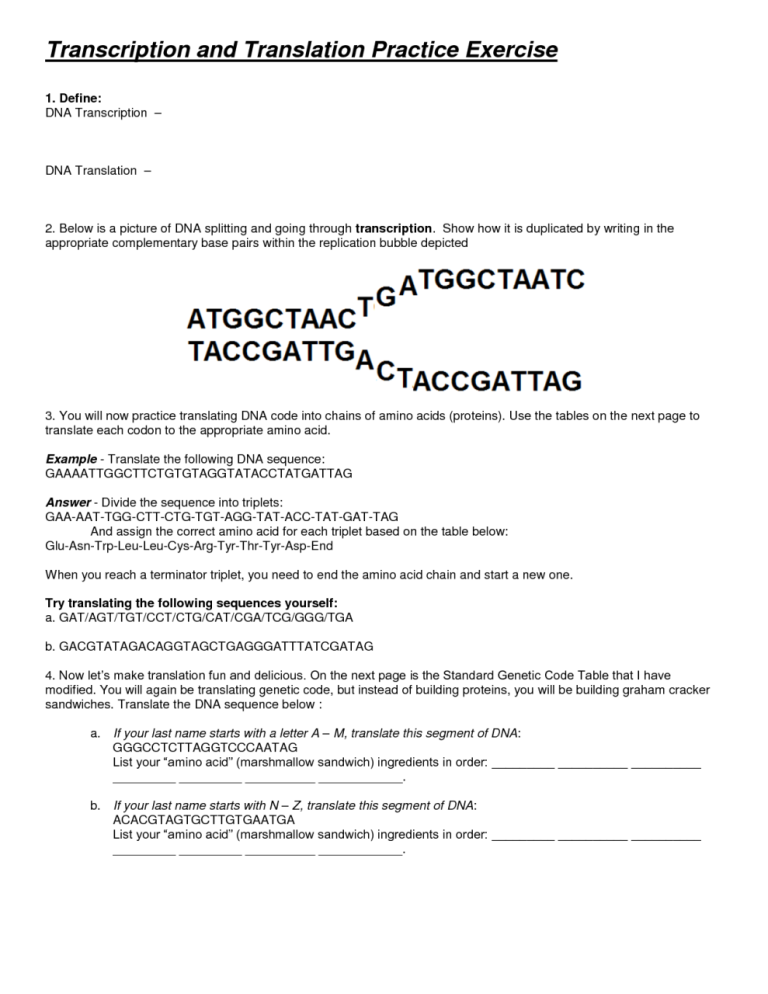 Transcription And Translation Worksheet Answers