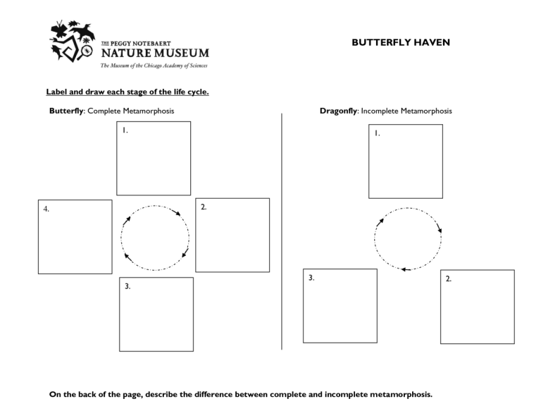 Diagram Of Workbook And Worksheet