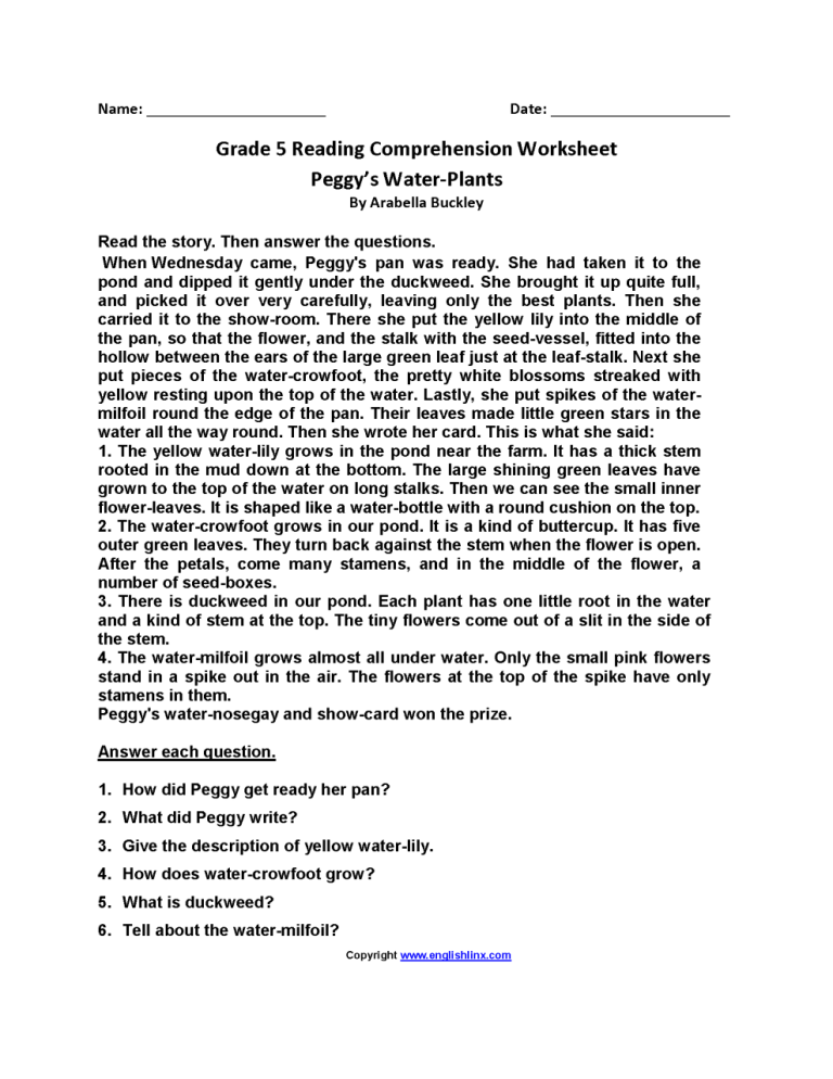 Comprehension For Class 5