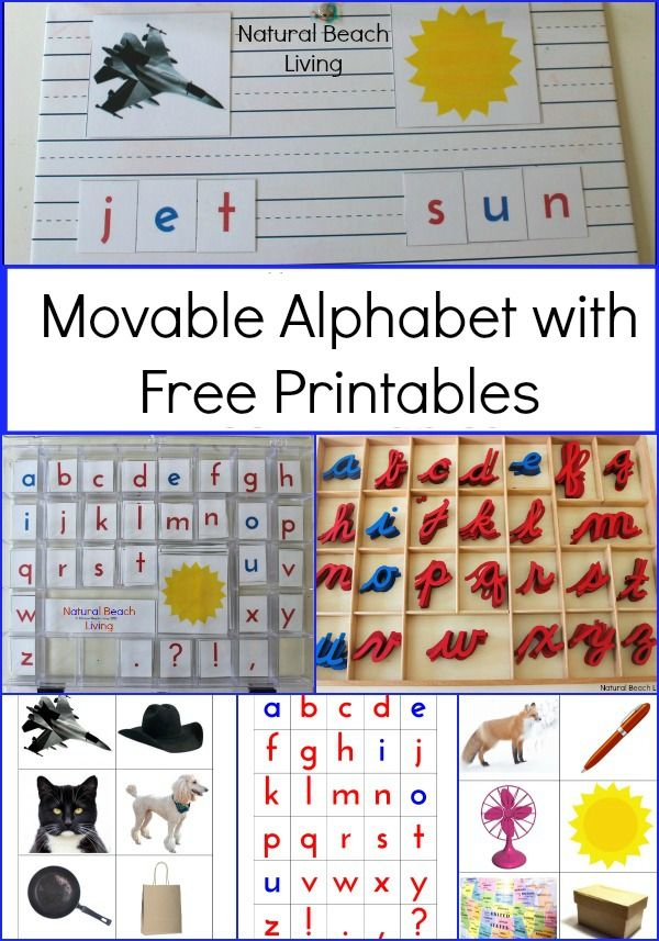 Montessori Free Printables For Toddlers