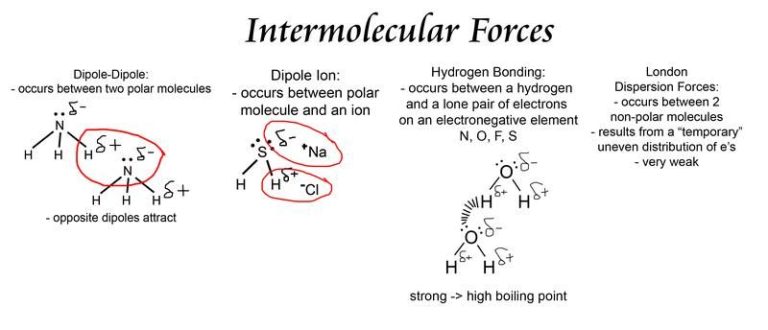 Chemistry Intermolecular Forces Worksheet Answers