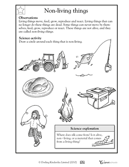 1st Grade First Grade Science Worksheets