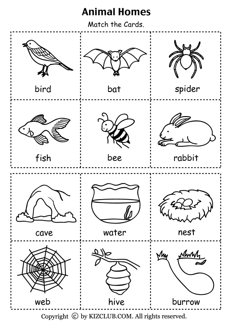 Animals And Their Habitats Worksheet Pdf