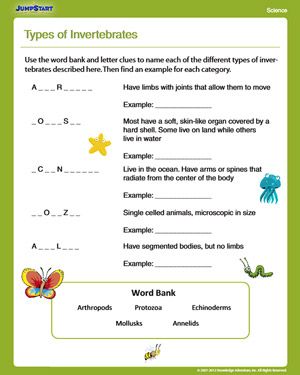 Finding The Main Idea Worksheets 2nd Grade