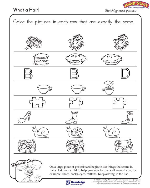 Critical Thinking Worksheets