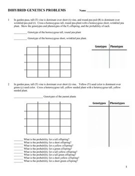 Genetics Practice Problems Worksheet