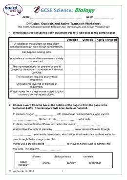 Diffusion And Osmosis Worksheet 7th Grade Pdf